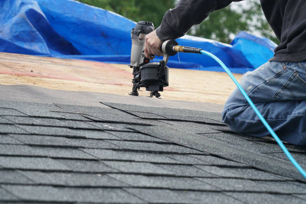 Best Roof Gutter Cleaning  in South Alamo, TX